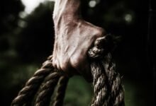 business insights and analysis