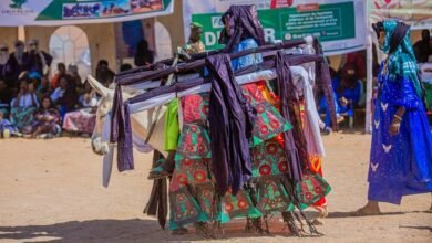 business performance data analysis