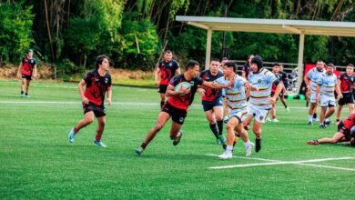 performance metrics and analysis