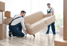 How a Reliable Darling Point Removalist Protects Your Furniture and Valuables