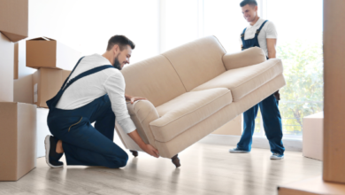 How a Reliable Darling Point Removalist Protects Your Furniture and Valuables